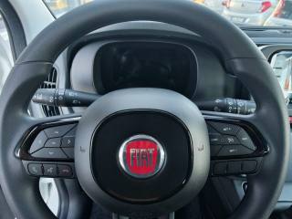 FIAT Panda usata, con Servosterzo