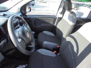 FIAT Panda usata 20