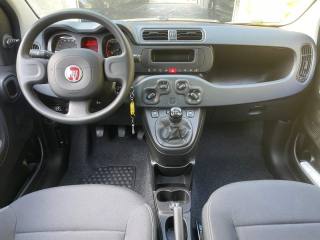 FIAT Panda usata, con Immobilizzatore elettronico