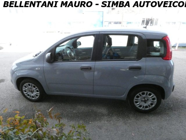 FIAT Panda usata, con Controllo trazione