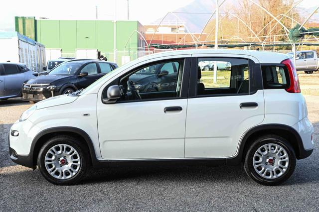 FIAT Panda usata, con Controllo trazione