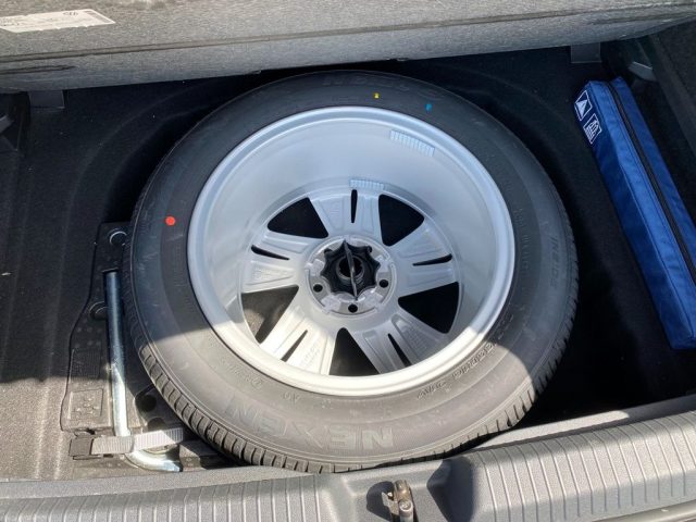 VOLKSWAGEN Golf usata, con Immobilizzatore elettronico