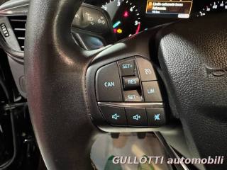 FORD Puma usata, con Fendinebbia