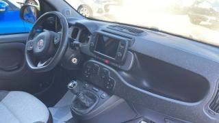 FIAT Panda Cross usata, con Fendinebbia