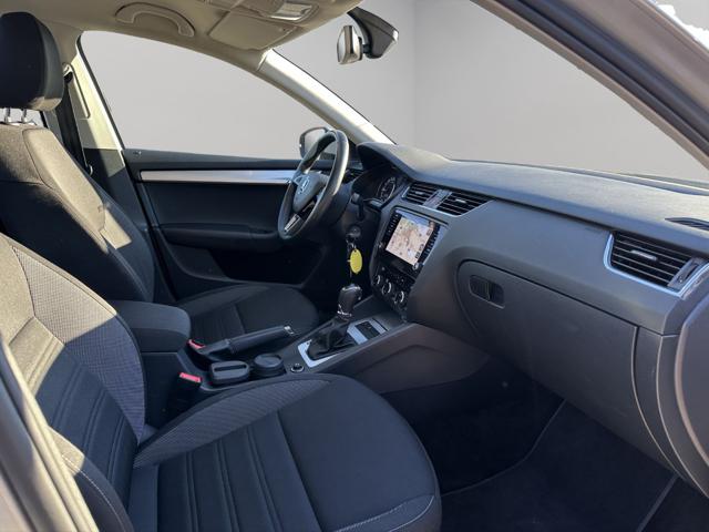 SKODA Octavia usata, con Fendinebbia