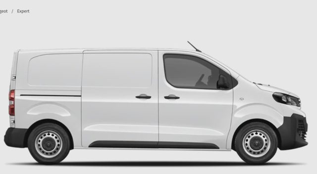 PEUGEOT Expert usata, con Airbag