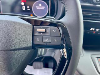 FIAT Doblo usata, con Sedili riscaldati
