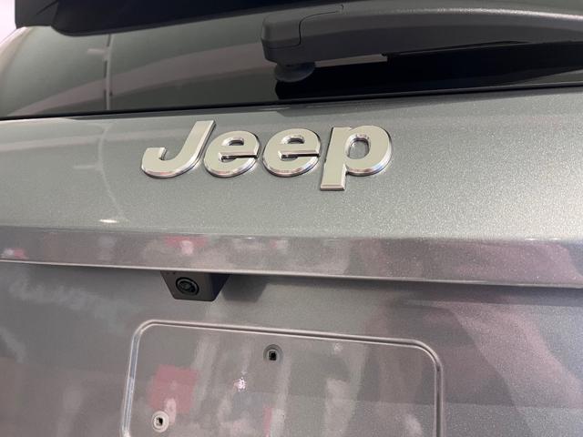 JEEP Avenger usata, con Controllo vocale