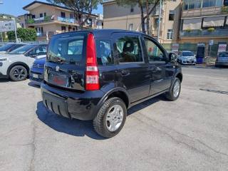 FIAT Panda usata, con Antifurto