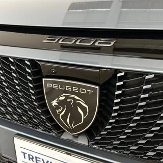 PEUGEOT 3008 usata, con MP3