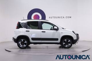 FIAT Panda Cross usata, con Alzacristalli elettrici