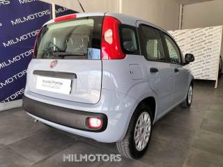 FIAT Panda usata, con ESP