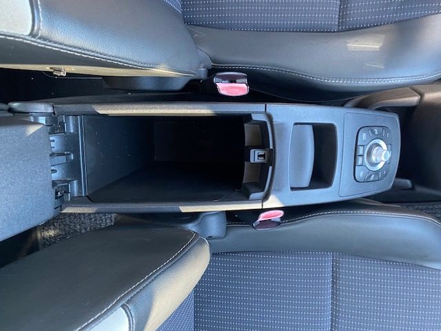 RENAULT Scenic usata, con Volante in pelle