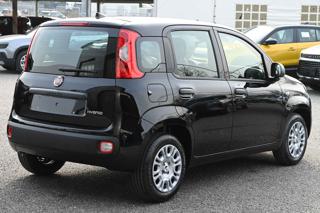 FIAT Panda usata, con Antifurto
