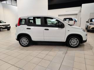 FIAT Panda usata, con Antifurto