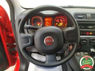 FIAT Panda usata, con Immobilizzatore elettronico