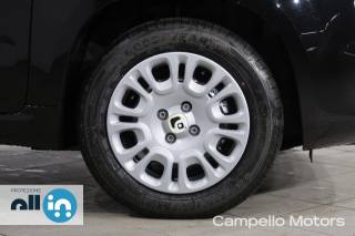 FIAT Panda usata 15