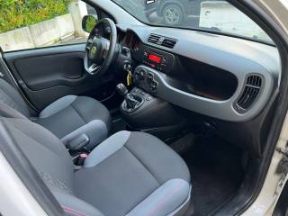 FIAT Panda usata 10