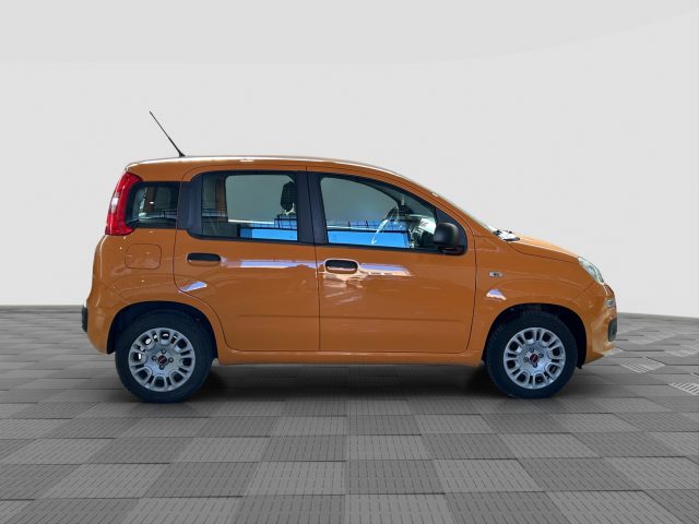 FIAT Panda usata 5