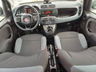 FIAT Panda usata 25