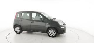 FIAT Panda usata 38