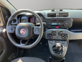 FIAT Panda usata, con Servosterzo
