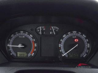 SKODA Fabia usata 12