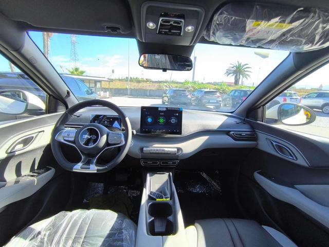 BYD Dolphin usata, con Cruise Control
