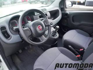 FIAT Panda usata 8