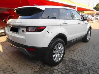 LAND ROVER Range Rover Evoque usata, con Cronologia tagliandi