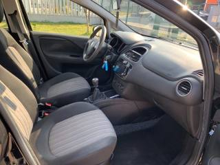 FIAT Punto usata, con ESP