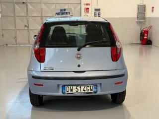 FIAT Punto usata, con Servosterzo