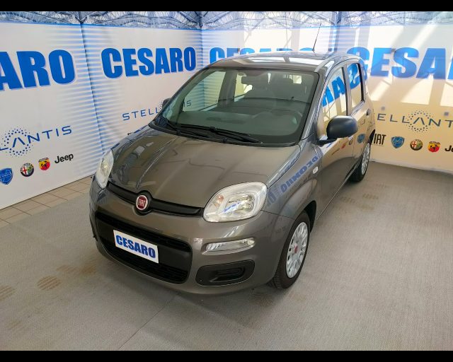 FIAT New Panda usata, con Airbag laterali