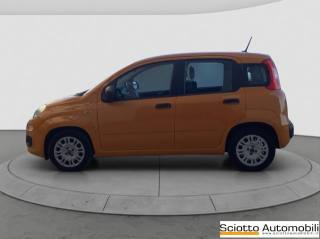 FIAT Panda usata, con Airbag Passeggero