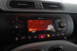 FIAT Panda usata 13