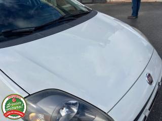 FIAT Punto usata, con Climatizzatore