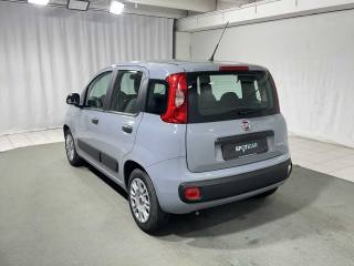 FIAT Panda usata, con Airbag Passeggero