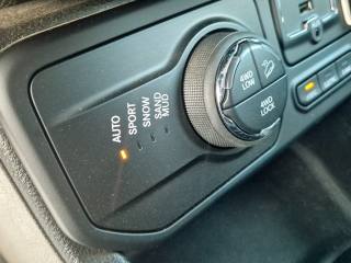 JEEP Renegade usata, con Airbag testa