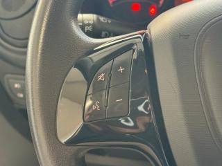 FIAT Fiorino usata, con Bracciolo