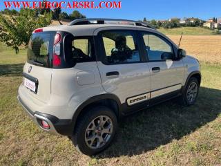 FIAT Panda usata, con Controllo trazione