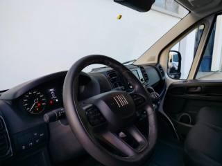 FIAT Ducato usata 17