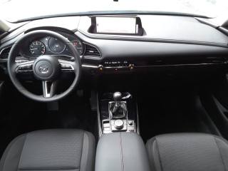 MAZDA CX-30 usata, con Cerchi in lega