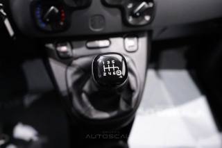 FIAT New Panda usata 15