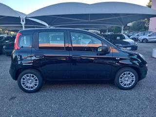 FIAT Panda usata, con Chiusura centralizzata