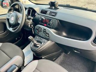FIAT Panda usata 16