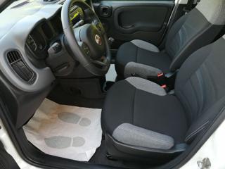 FIAT Panda usata, con Climatizzatore