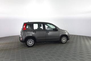 FIAT Panda usata 2