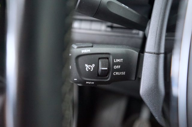 PEUGEOT 3008 usata 51