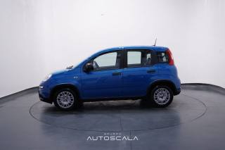 FIAT Panda usata, con Airbag Passeggero