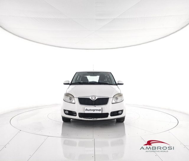 SKODA Fabia usata 4